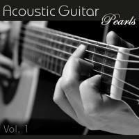 Orinoco Haven - Acoustic Guitar Pearls Vol. 1 2008 FLAC