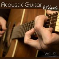 Orinoco Haven - Acoustic Guitar Pearls Vol. 2 2008 FLAC