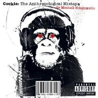 Meshell Ndegeocello - Cookie The Anthropological Mixtape 2002 FLAC