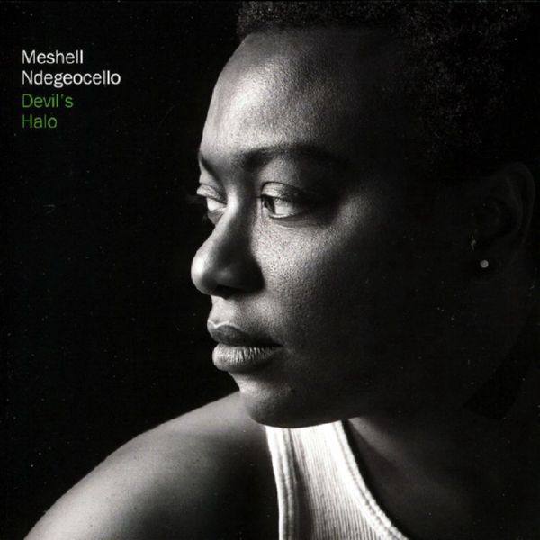 Meshell Ndegeocello - Devil's Halo 2009 FLAC