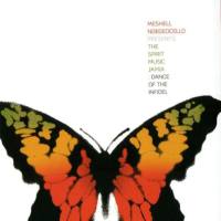 Meshell Ndegeocello - The Spirit Music Jamia Dance Of The Infidel 2005 FLAC