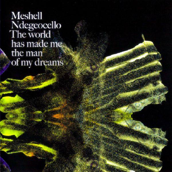 Meshell Ndegeocello - The World Has Made Me The Man Of My Dreams 2007 FLAC