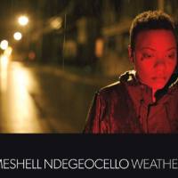 Me'shell Ndegeocello - Weather 2011 FLAC