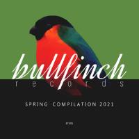 VA - Bullfinch Spring 2021 Compilation 2021 FLAC