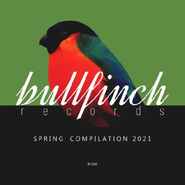VA - Bullfinch Spring 2021 Compilation 2021 FLAC