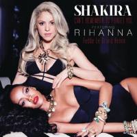 Shakira - Can't Remember To Forget You (Feat. Rihanna) [Fedde Le Grand Remix] 2014-03-17 FLAC
