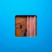 Modern Error - 2022 - Victim Of A Modern Age (FLAC)