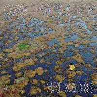 Maras - Where Whales Go 2022 Hi-Res