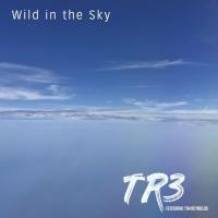 TR3 - 2022 - Wild in the Sky (FLAC)