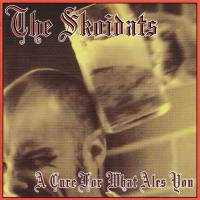 The Skoidats - A Cure for What Ales You 2022 FLAC