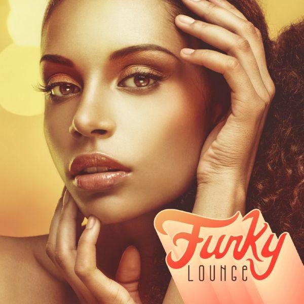 VA - Funky Lounge  FLAC