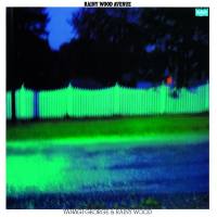 George Yanagi & Rainy Wood (柳ジョージ&レイニーウッド) - Rainy Wood Avenue (2015) Hi-Res