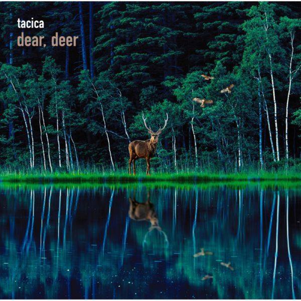 tacica - BEST ALBUM dear, deer (2021) Hi-Res
