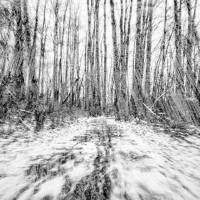 Daniel Menche - Frozen Ghosts 2022 FLAC