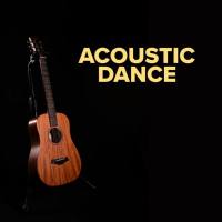 VA - Acoustic Dance 2022 FLAC