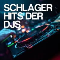Verschillende artiesten - Schlager Hits der DJs (2021) Flac