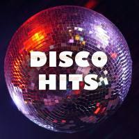 VA - Disco Hits 2021 FLAC