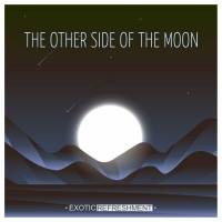 VA - The Other Side Of The Moon 2022 FLAC