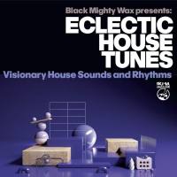 VA - Eclectic House Tunes (Visionary House Sounds and Rhythms) 2022 FLAC