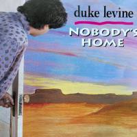Duke Levine - Nobody's Home (2022) FLAC