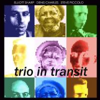 Elliott Sharp, Denis Charles, Steve Piccolo - Trio in Transit (Live) (2022) FLAC