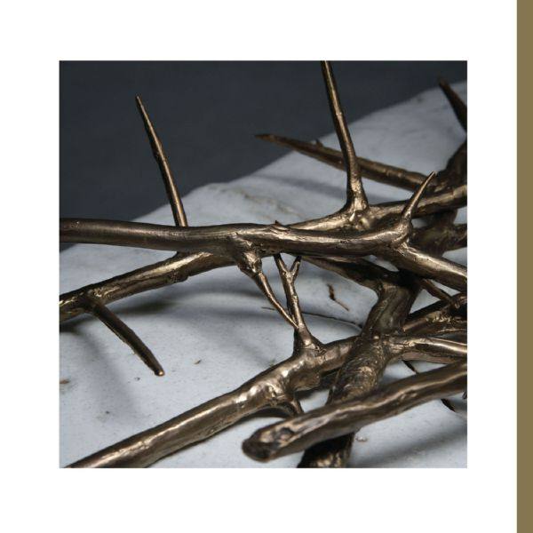 Amenra - De Doorn (2022) [24-44,1]