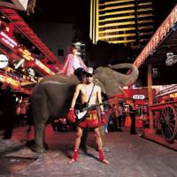 シートベルツ - COWBOY BEBOP Knockin'on heaven's door Ask DNA   Hi-Res