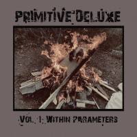 Primitive Deluxe - Vol. 1- Within Parameters 2022 FLAC