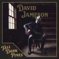 David Jameson - Tall Dark Pines (2022) Hi-Res