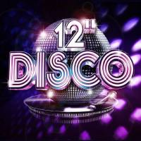 VA - 12'' Disco 2013 FLAC