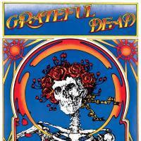 Grateful Dead - Grateful Dead (Skull & Roses) (2021) [24-192]