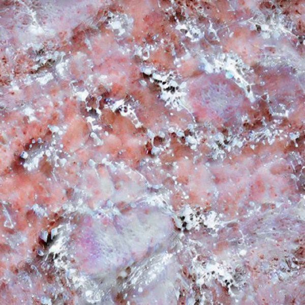 DOT. - The Dr Oedipus Complex 2022 FLAC