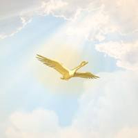 Purple Funk Metropolis - The Golden Goose (2022) FLAC