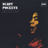 Scary Pockets - Find the Light 2020 FLAC