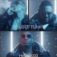 Sons Of Funk - Heat 3000 (2021) FLAC