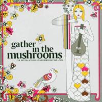 Various Artist - Gather In The Mushrooms (The British Acid Folk Underground 1968-1974) (2004) Flac