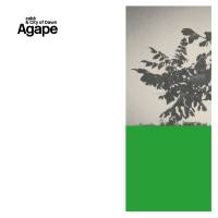 Zake - Agape 2022 Hi-Res