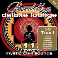 VA - Buddha Deluxe Lounge Vol. 6 2013 FLAC