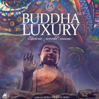 VA - Buddha Luxury Vol.4 2020 FLAC