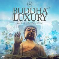 VA - Buddha Luxury Vol.5  2021 FLAC