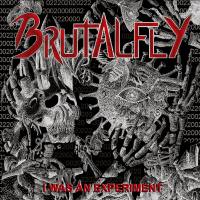 Brutalfly - I Was an Experiment (2022) FLAC (24bit-44.1kHz) Brutalfly - I Was an Experiment (2022) FLAC (24bit-44.1kHz)