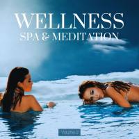 Various Artists - Wellness, Spa & Meditation, Vol. 2 FLAC