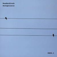 Wunderblock - Autopoiesis 2022 FLAC