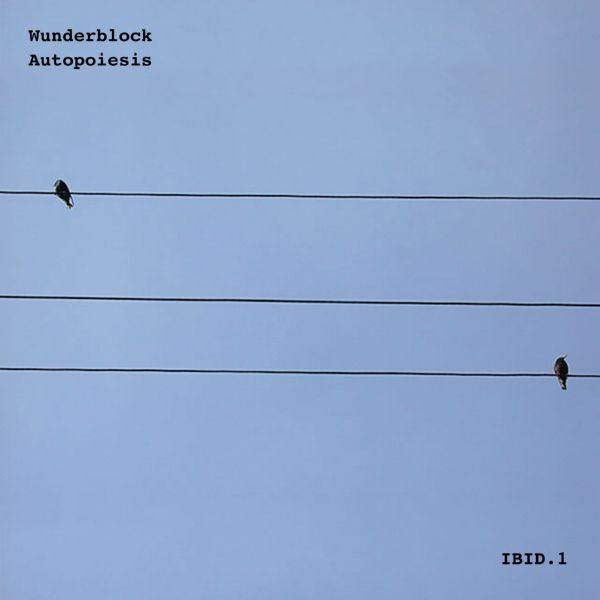 Wunderblock - Autopoiesis 2022 FLAC