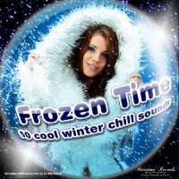 VA - Frozen Time - 50 Cool Winter Chill Sounds [Manifold Germany] FLAC-2016