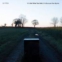 DJ Pitch - It's Not What You Said, It's Because You Spoke 2021 Hi-Res