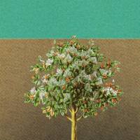 Grady Spencer & the Work - Wait (2022) FLAC