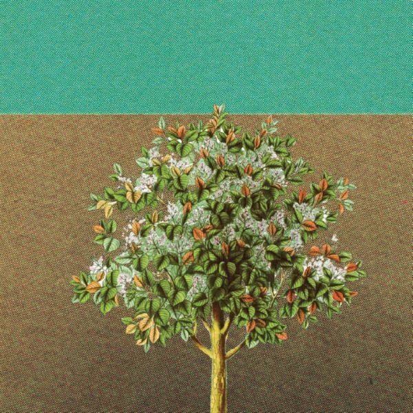 Grady Spencer & the Work - Wait (2022) FLAC