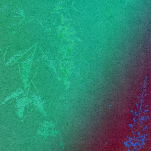 UMA Soundsystem - Organización Negra 2022 FLAC