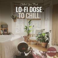 VA - Lo-Fi Dose to Chill Chillout Your Mind 2022 FLAC